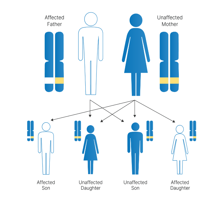 Hereditary Cancer Genetic Testing
