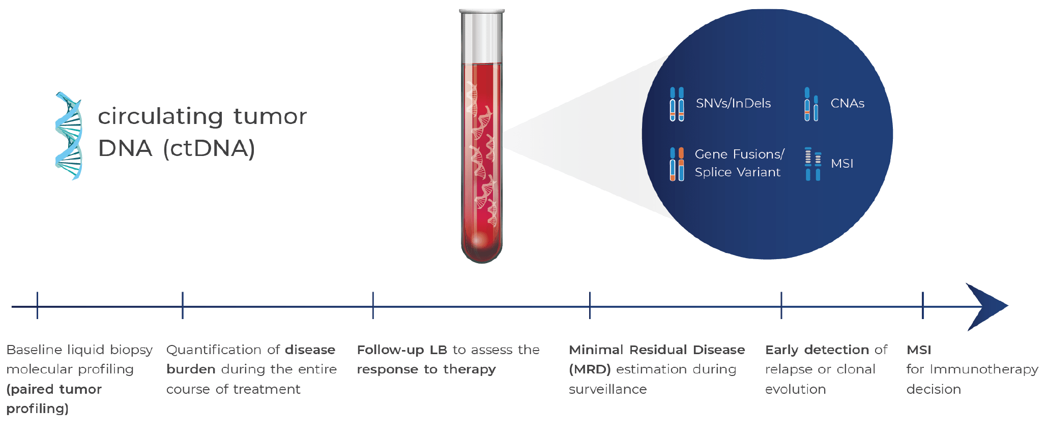 cfDNA analysis through Liquid Biopsy and their application